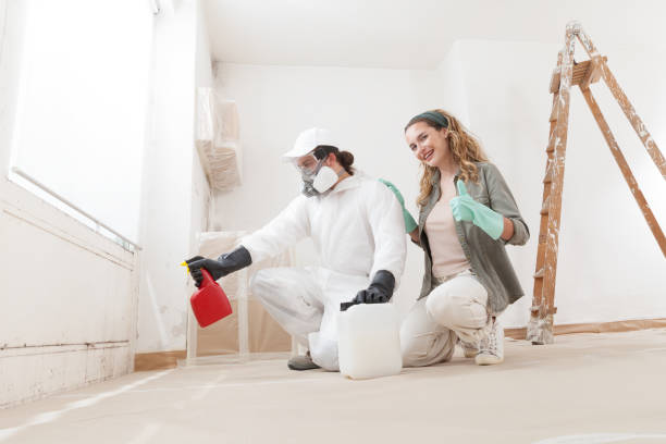 Best Attic Mold Removal  in Winter Gardens, CA